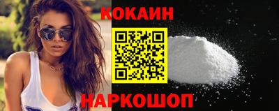 ешки Кингисепп