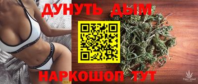 ешки Кингисепп