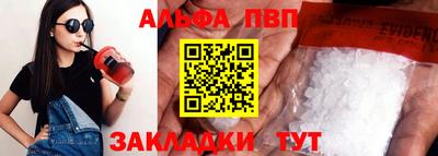 ешки Кингисепп