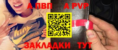 ешки Кингисепп