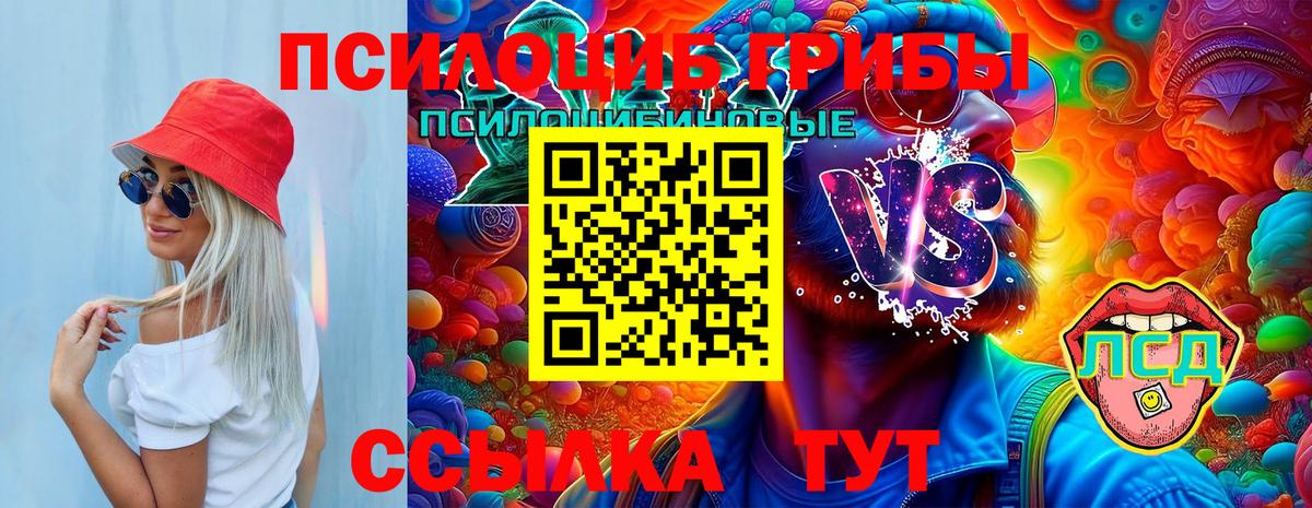 Кострома  Галлюциногенные грибы Psilocybe  Вход с VPN  Галлюциногенные грибы ЛСД 